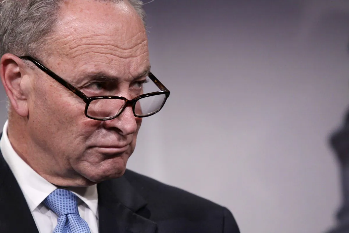 Sen. Charles Schumer (Lauren Victoria Burke/AP)