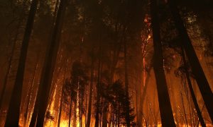 Impacts of Climate Change in U.S. Are 'Far Reaching' (video)