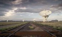 Hot Docs Highlights