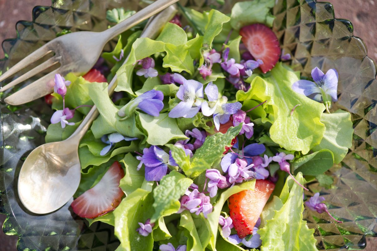 Unique Spring Salad (Cat Rooney/Epoch Times) 