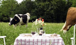 Picnic Fare French Style