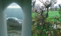 Irish Ghosts and Gaelic Greenery