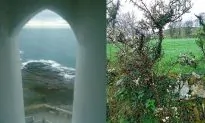 Irish Ghosts and Gaelic Greenery