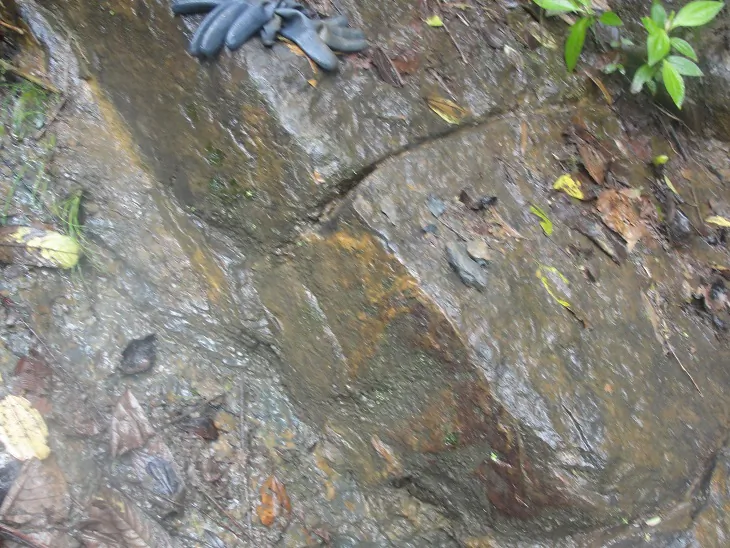 Rectangular blocks of what appears to be a megalithic structure deep in the Ecuadorian jungle. (Earth4All)
