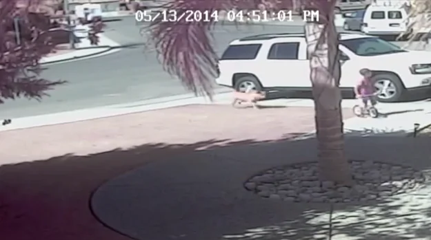 Screen shot of the footage of the incident where four-year-old Jeremy Triantafilo gets attacked by a dog outside his home in Bakersfield, California, on May 13, 2014. (Youtube)