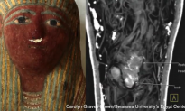 Infant-sized Ancient Egyptian Sarcophagus Found to Contain Mummified Foetus