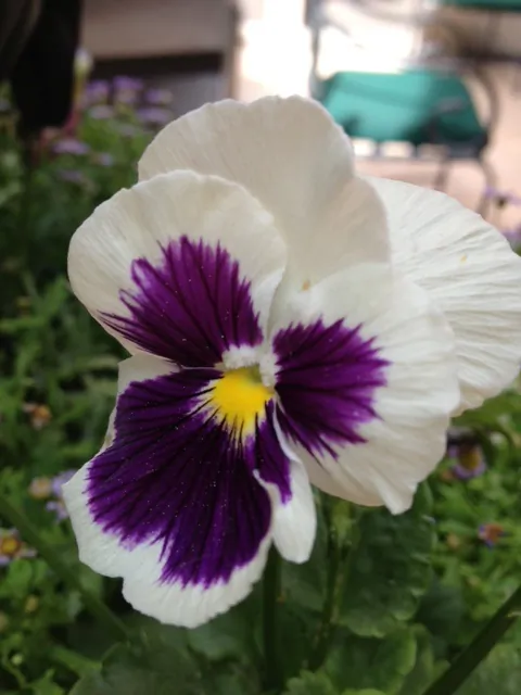 What does a Mother’s Day look like as part of a healthy lifestyle? Check out the 4 tips provided to make it a healthy, filled with fun, day:
