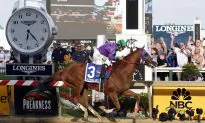Next Triple Crown Winner?