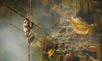 Himalayan Honey Acrobatics — the Gurung Hunters