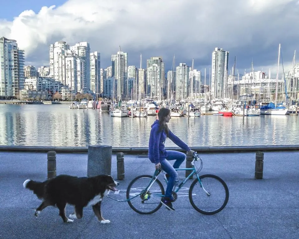 A cyclist takes her dog for a run along Vancouver's seawall. With the kickoff of Bike to Work Week on May 26, Bike Day goes nationwide in an effort to advance Canada's bike culture. (Courtesy Vancouver Cycle Chic)