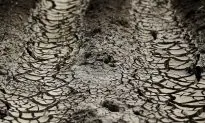 U.S. Already Experiencing Effects of Climate Change (video)