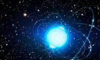 A Rare Magnetic Star Is Born—With a Push in the Right Direction