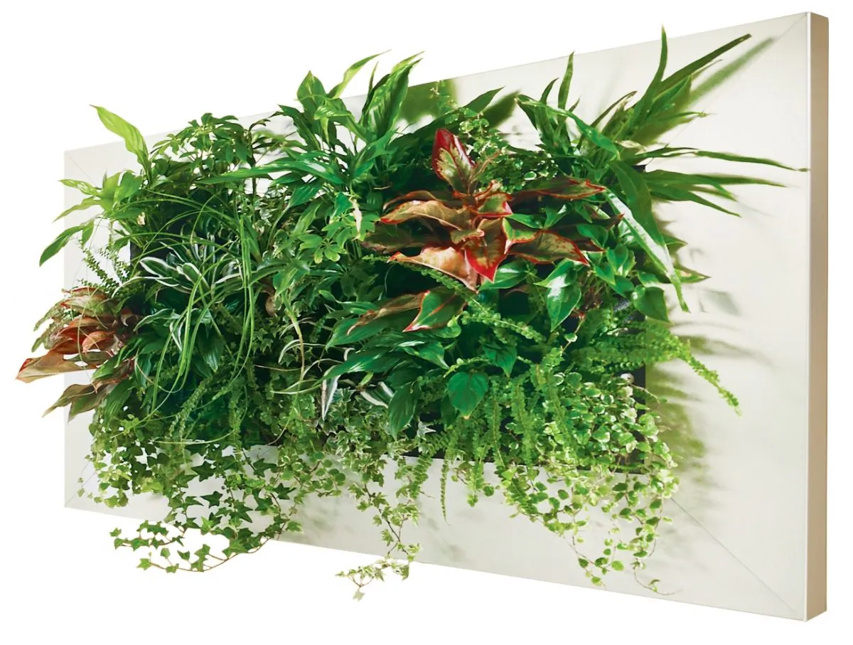 Plants are timeless and classic infusions of colour and texture. Where to put them when you don’t have the space? Try vertical gardening! It’s low-maintenance living art that hangs on your wall. (SuitePlants.com)