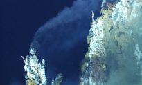 Viruses ‘Hijack’ Bacteria at Ocean’s ‘Black Smokers’