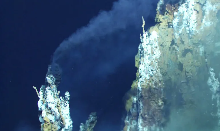 "We suspect that these viruses are essentially hijacking bacterial cells and getting them to consume elemental sulfur so the viruses can propagate themselves," says Karthik Anantharaman. (MARUM/University of Bremen/NOAA-Pacific Marine Environmental Laboratory)