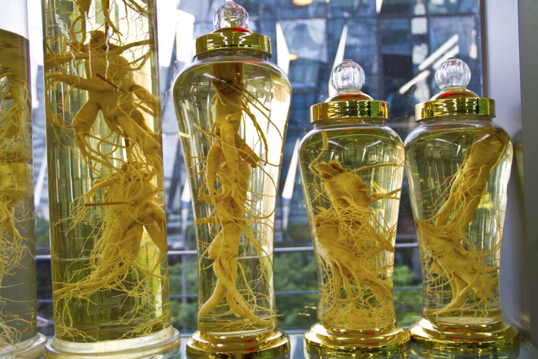 Researchers at Georgia State University found that ginseng also boosts immunity, specifically against the flu and a virus that is the most common cause of bronchiolitis and pneumonia in U.S. children. (jukree/thinkstockphotos.com)