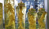 Ginseng Guards Against Viral Infections