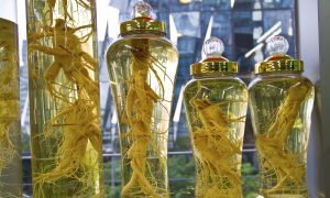 Ginseng Guards Against Viral Infections