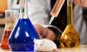 The Failing Animal Research Paradigm for Human Disease