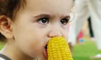 Eating Organic Foods Reduces Pesticide Exposure by Nearly 90% After Just One Week
