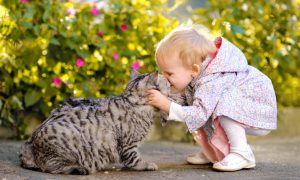 Asthma—Breathe Right Naturally