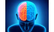 How Left-Right Brain Handoffs Happen Without a Hitch