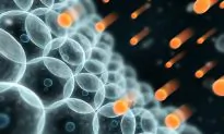Do ‘Unhealthy’ Free Radicals Actually Fight Aging?