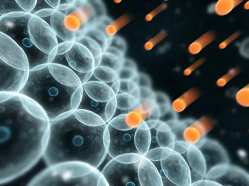 "People believe that free radicals are damaging and cause aging, but the so-called 'free radical theory of aging' is incorrect," says Siegfried Hekimi. "Free radical production increases during aging because free radicals actually combat—not cause—aging." (Shutterstock*)