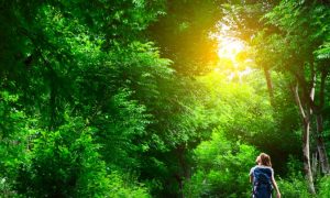  11 Natural Treatments For Depression