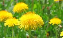 Spring Cleaning Your Body