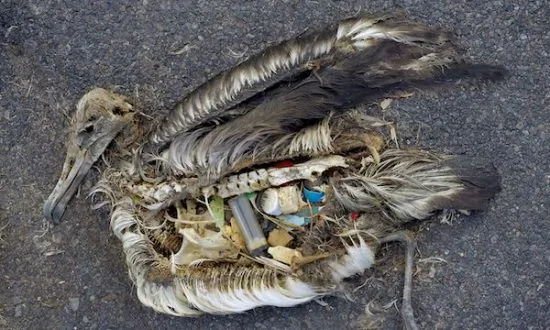 What Is the Problem With Our Oceans?