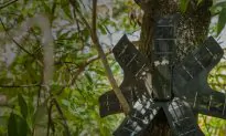 Old Cellphones Become Poaching Detector in Real Time