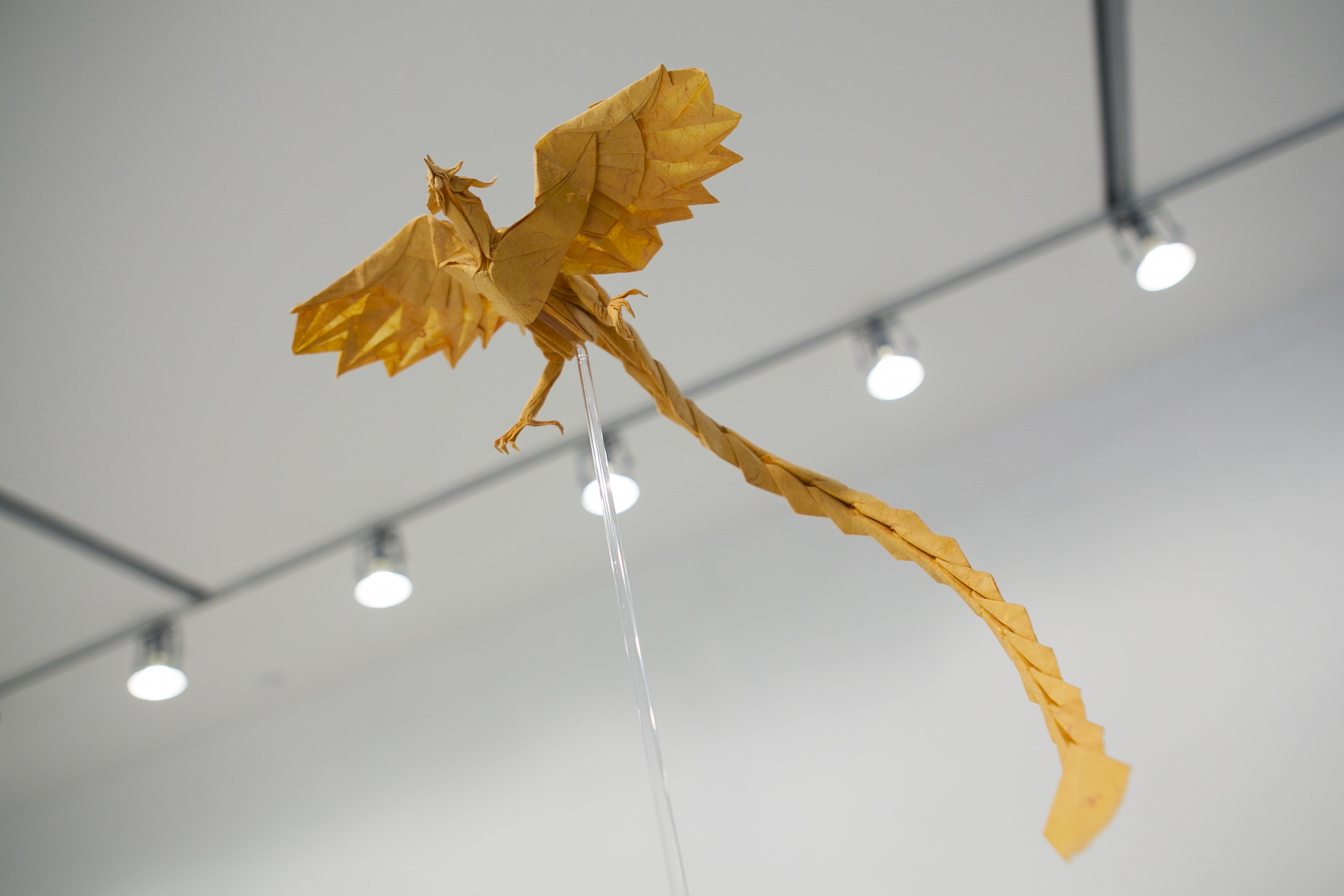origami phoenix satoshi kamiya