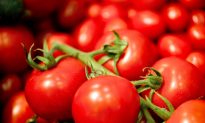 Catch Up on Heinz and Ford’s Cars Made From … Tomatoes