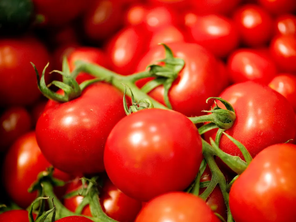 Tomato (Odd Andersen/Getty Images)