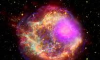 Laser ‘Supernova’ Mimics Magnetic Fields in Space
