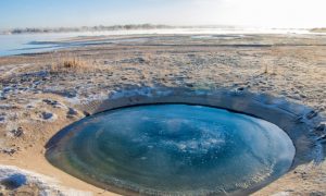 Did All of Earth's Water Originally Come From Outer Space? 