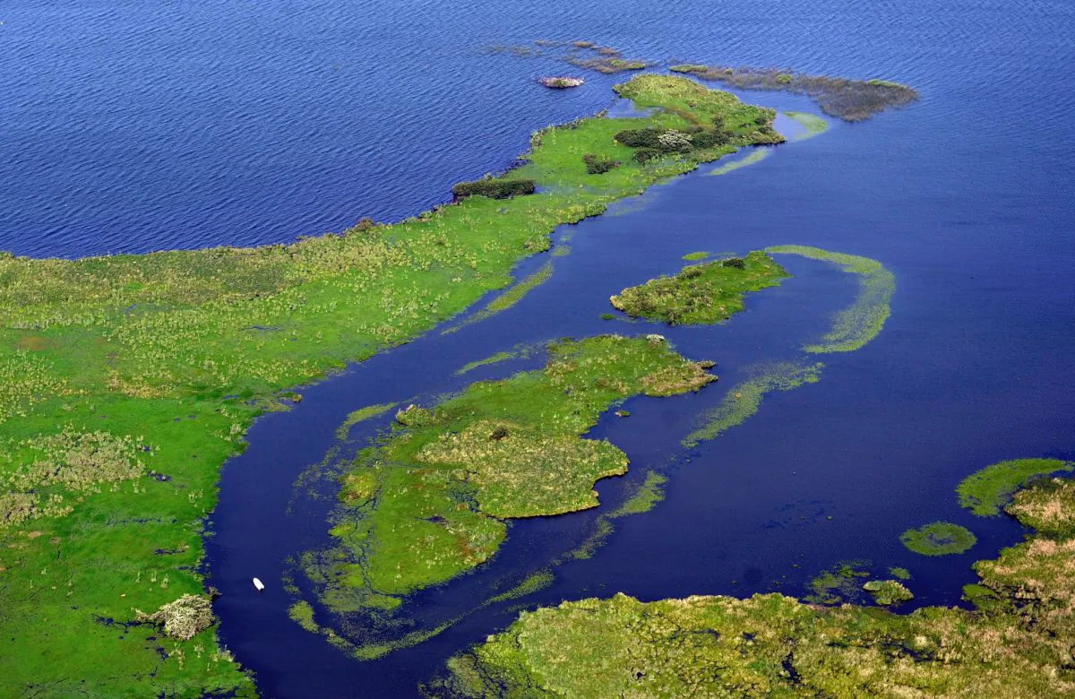 Aerial view of the marshes of "Ibera" near the town of Carlos Pellegrini, in the Argentine province of Corrientes on November 4, 2009. (Daniel Garcia/AFP/Getty Images)