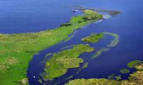 Saving Wetlands Through Responsible Cultivation of Soy