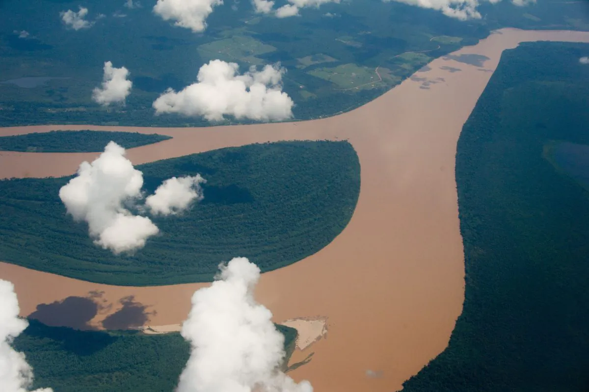 The Amazon rainforest is one of the largest areas of wilderness in the world.(Christophe Simon/AFP/Getty Images)