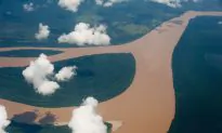Brazil’s Green-Washed World Cup