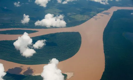 Brazil’s Green-Washed World Cup