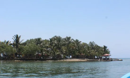Diving Sapodilla Cayes Marine Reserve