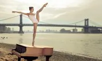This Is New York: Luis Pons on the Power of Perennial Beauty