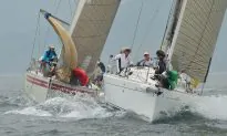 Good Support for Typhoon Series Yacht Races