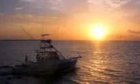 Islamorada Diving