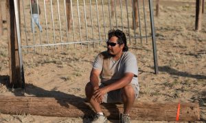 Navajo Veteran Wants to Heal Others With Wild Horses