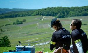 7 Amazing Picnic Spots