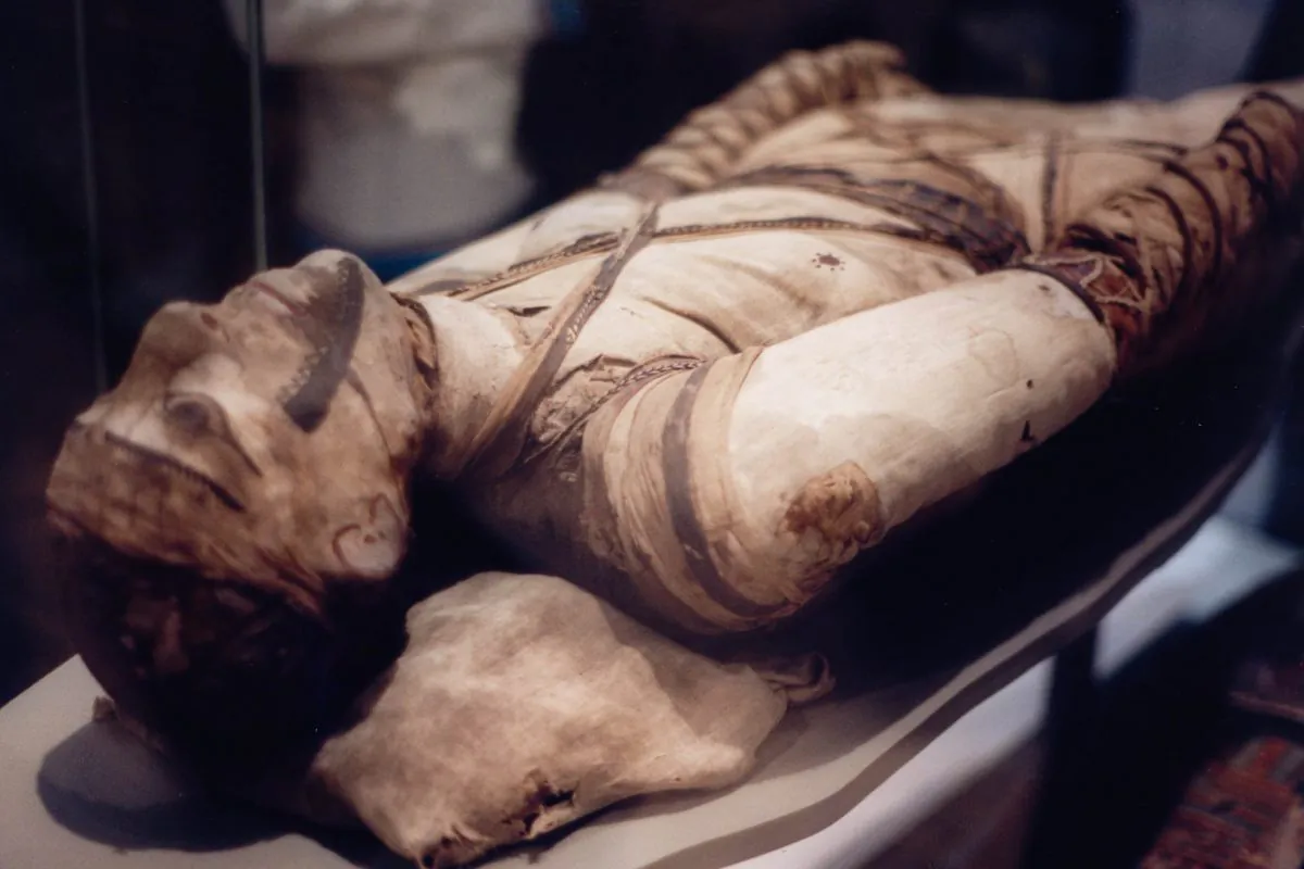 An Egyptian mummy at the British Museum in London. (Wikimedia Commons)