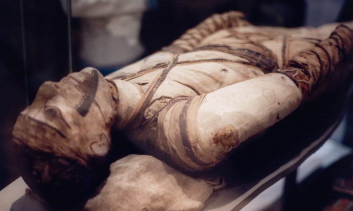 egyptian mummies unwrapped